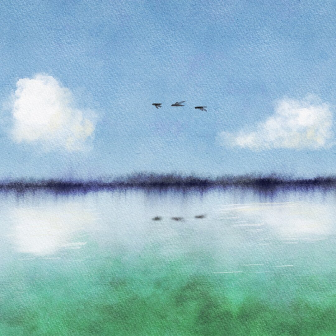 Digitales Aquarell: obere Bildhälfte zeigt Himmel mut wenig Wolken und 3 Vögeln. Untere Bildhälfte zeigt Spiegelung des Himmels in grünlichem Wasser. Die Horizontlinie wirkt wie kleine Bäume, die sich im Wasser spiegeln.