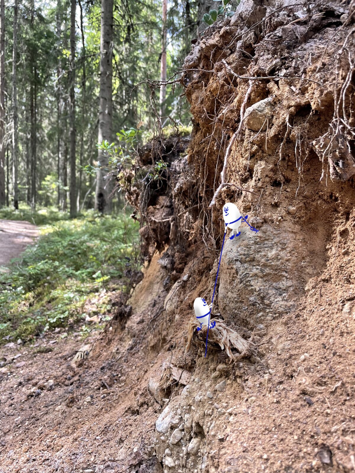 Foto einer umgestürzten Baumwurzel mit sandigen senkrechten Flächen. Dort hineingezeichnet sind 2 Waldgeister, die mit einem Seil verbunden die steile Wand bezwingen.