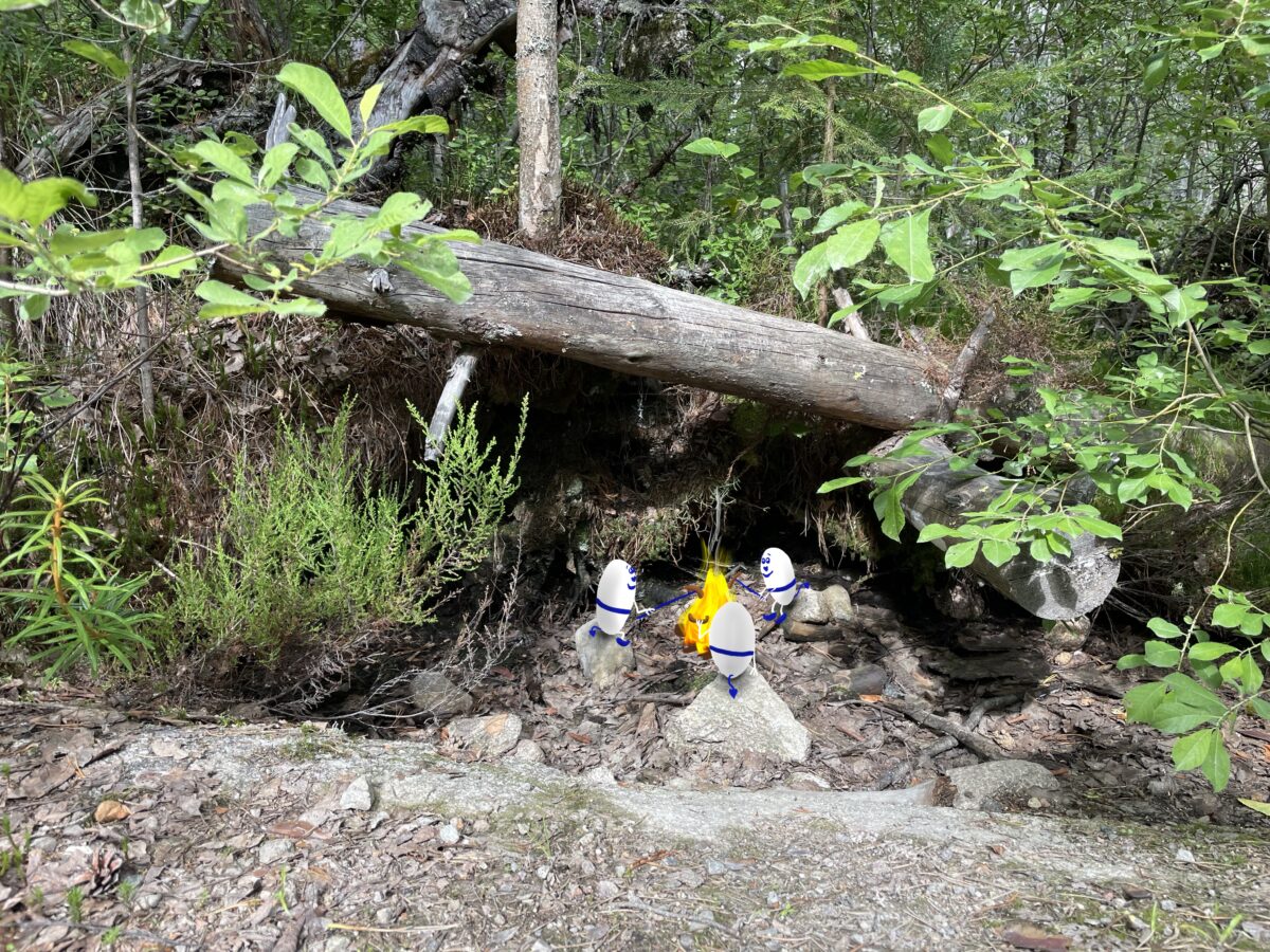 Foto eines liegenden Baumstammes im Wald mit Moos, Steinen und Gebüsch. Hineingemalt sind drei kleine Wesen (weiße Ovale), die Würstchen am Stock über einem Lagerfeuer grillen und auf den Steinen sitzen.