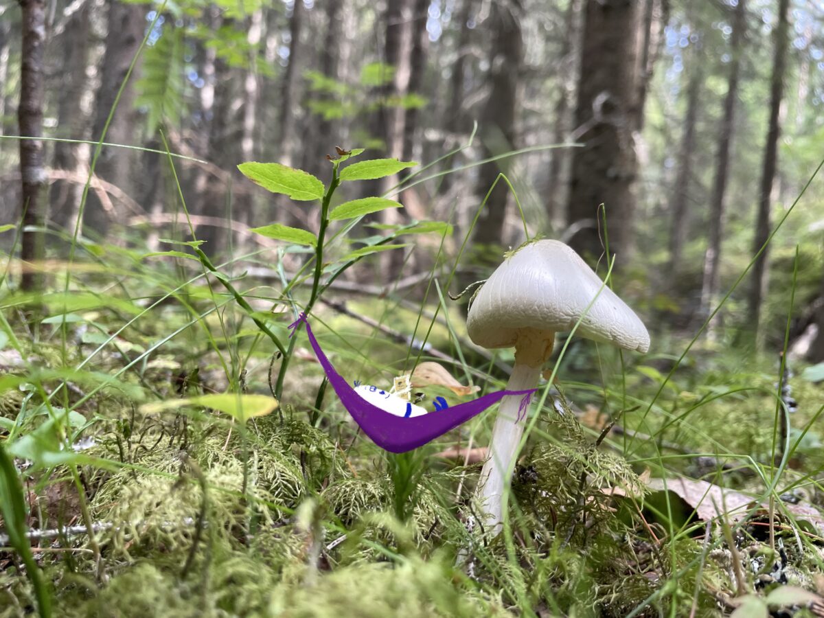 Foto von Waldboden mit Moos und einem weissen Pilz und mit eingefügter Zeichnung einer kleinen lila Hängematte. Drinnen liegt ein kleines weisses Wesen mit blauen Schuhen und einem Buch.