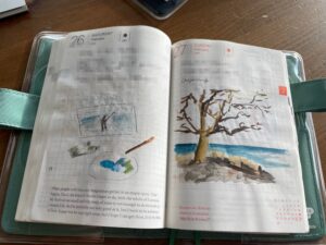26. und 27.2. Malutensilien und Skizze! Baum am Strand